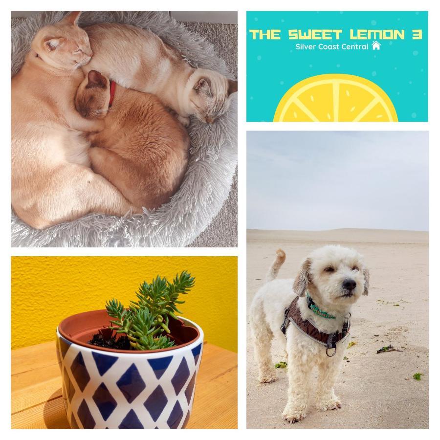 The Sweet Lemon 3 Apartment Bombarral Bagian luar foto